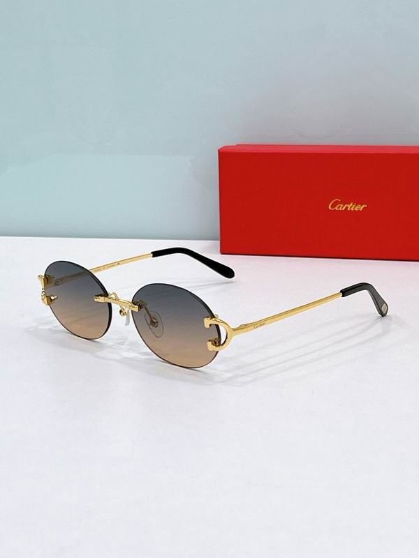 Cartier Glasses smr205